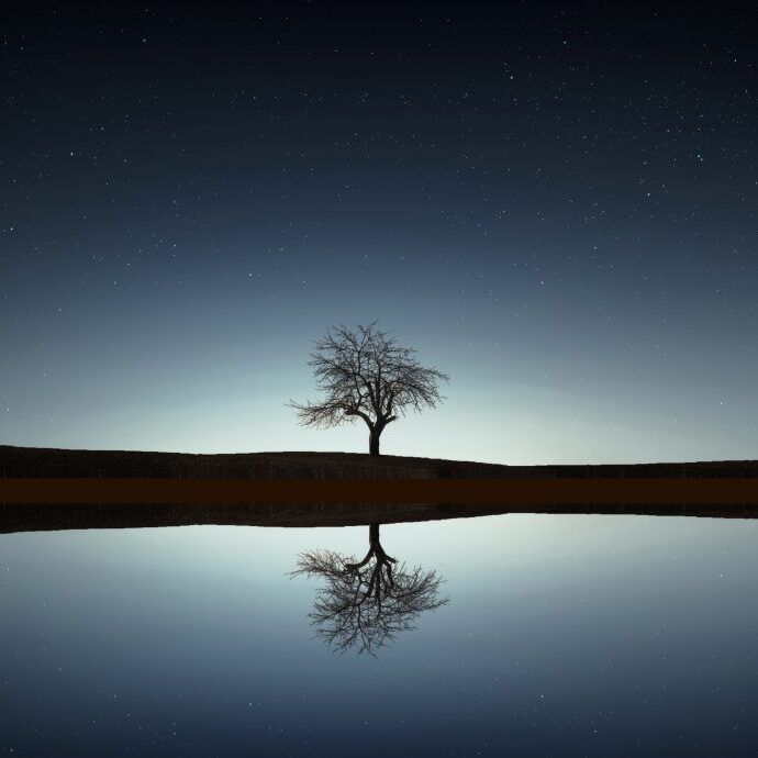 Reflection Tree